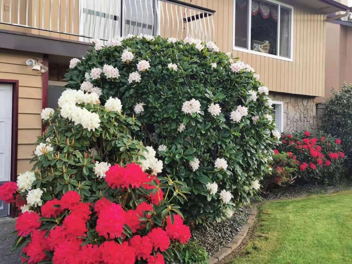 Richmond Vancouver Airport Comfy Home Екстериор снимка